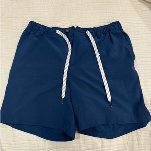 Men’s chubbies tech shorts